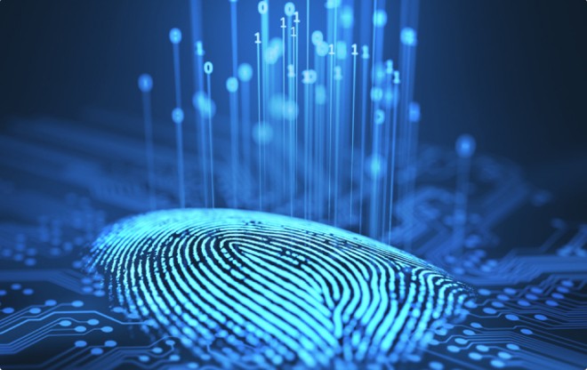 sensor-fingerprint.jpg